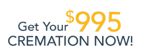 Home Home Home trust_logos_philly4 blue-seal-280-80-bbb-236012953 cta-form-300x104