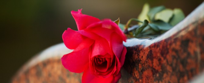 A red rose lying on some marble.