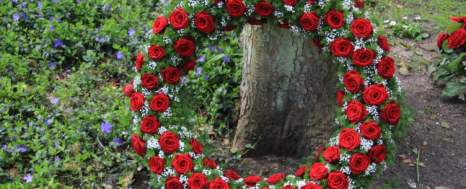 Roses all attached together, making a circle lying on a tree.
