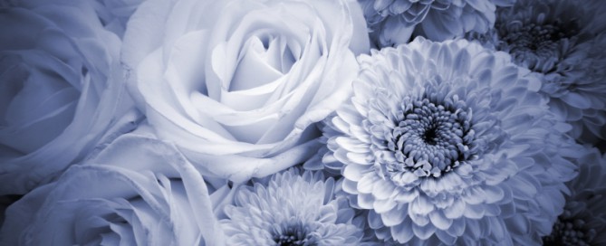 Philadelphia cremation costs