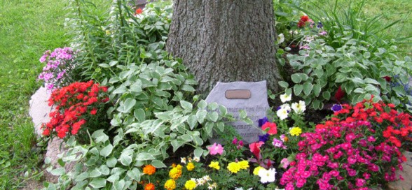 Backyard memorial tree and flowers.