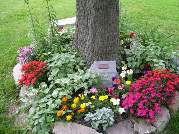 Keep Their Loved One S Ashes At, Pet Memorial Ideas For The Garden