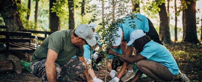 group planting a cremation tree