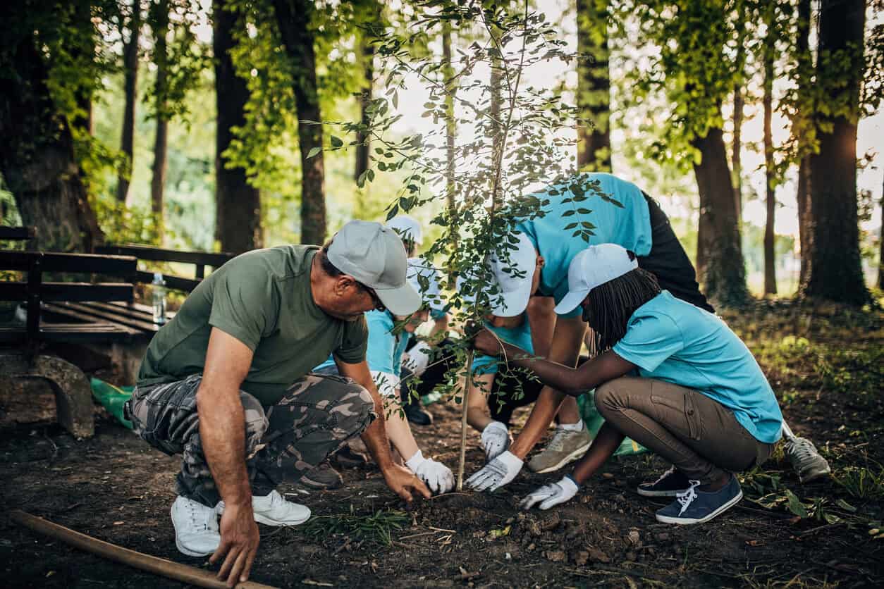 group planting a cremation tree