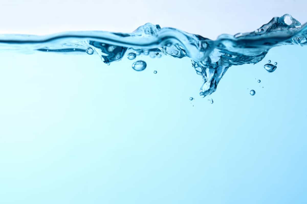 Water Cremation Aquamation Legality, How it Works, and Costs