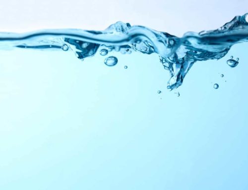 Water Cremation: Aquamation Legality, How it Works, and Costs