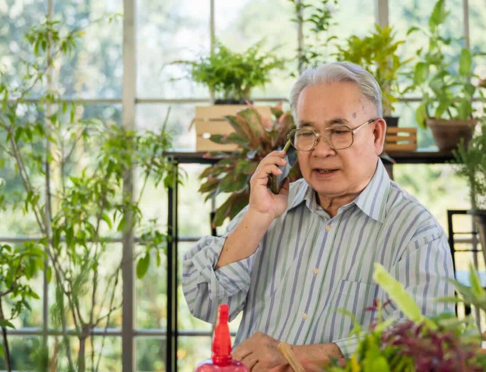 Tree Cremation Planting a Tree with Human Ashes CSOP